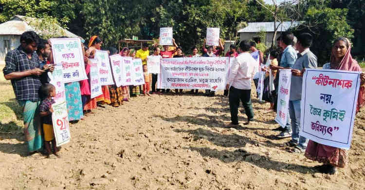 আন্তর্জাতিক কীটনাশক ব্যবহার মুক্ত দিবস পালিত 