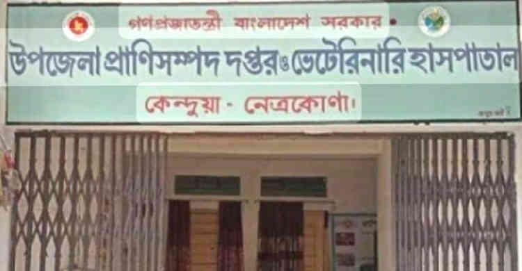 শূন্য পদে সেবার ঘাটতি: কেন্দুয়ায় অফিস সহকারীর মাধ্যমে গাভীগরুর কৃত্রিম প্রজনন সেবা